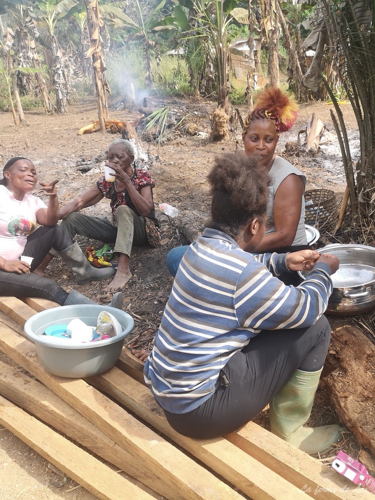 La ferme de Léo 2022, mission humanitaire, Nkolnyama Cameroun, La ferme de Léo, travaux participatifs,