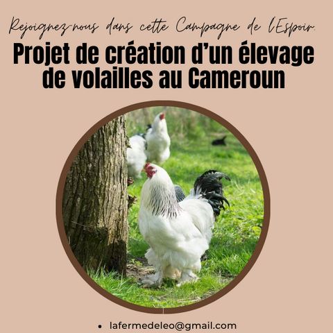 https://www.helloasso.com/associations/la-ferme-de-leo/collectes/projet-creation-d-elevages-de-volailles-au-cameroun
