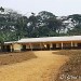 LFDL_Cameroun 2020-école de Nkolnyama
