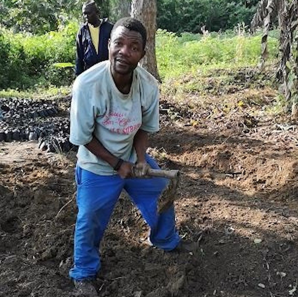 La ferme de Leo, divers travaux