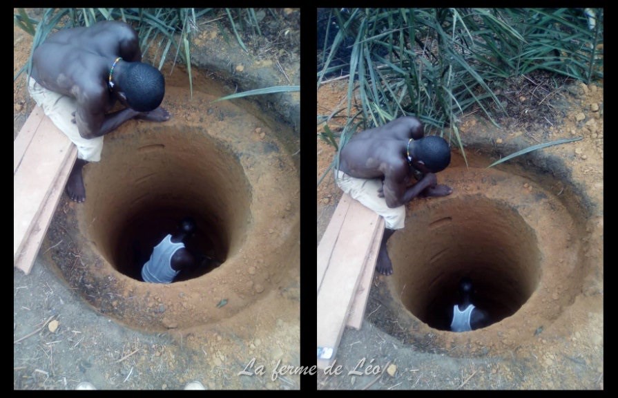 La ferme de Leo, divers travaux