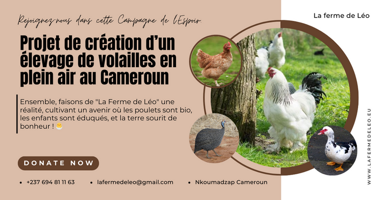 La ferme de Léo-LFDL-Cameroun,Nkoumadzap,