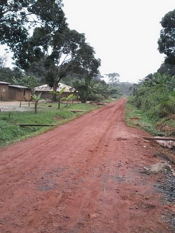 La ferme de Léo-Cameroun,Nkoumadzap,