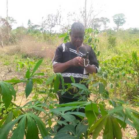 La ferme de Léo-Cameroun,Nkoumadzap,