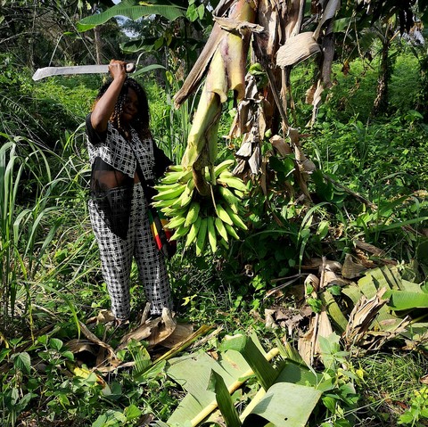 Recherche partenaires, Manioc, La ferme de Léo-Cameroun,Nkoumadzap,