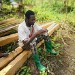 La ferme de Léo 2022, mission humanitaire, Nkolnyama Cameroun, La ferme de Léo, Petit,