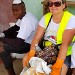 LFDL-Journée mondiale de l'environnement Cameroun 2020-bénévoles